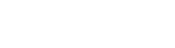 SIVVI